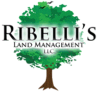 Ribellis Land Management